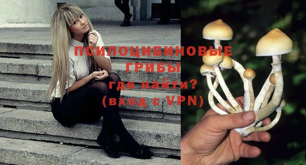 спиды Алзамай