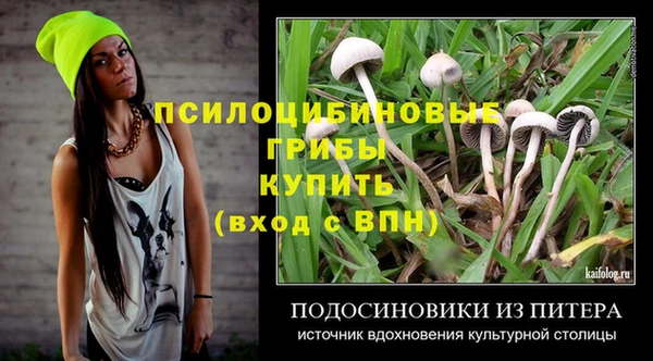 спиды Алзамай