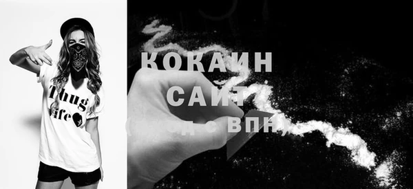 дживик Алексин