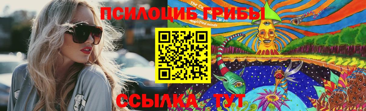 Псилоцибиновые грибы Psilocybine cubensis Ипатово